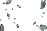 Colorful butterflies are seen flying around against a transparent backdrop, highlighting their grace and beauty in a serene atmosphere filled with movement