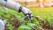 © Iona - The close-up of a robotic hand gently cultivates young plants, showcasing a harmonious blend of metal and greenery in a modern field setting.