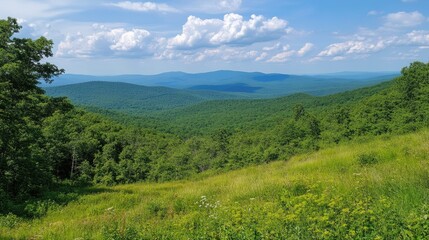 Naklejka na meble Lush Green Mountain Range Under a Blue Sky