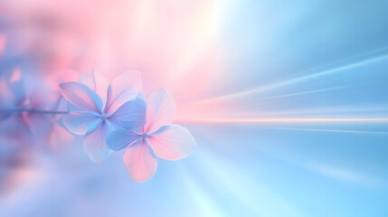 Leinwandbilder - A soft gradient background blending blue and pink hues, ideal for digital design or presentations.