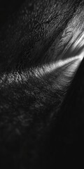 Aufkleber - black and white image of a tunnel below ground, with textured walls and deep shadows. The narrow passage seems to stretch endlessly,