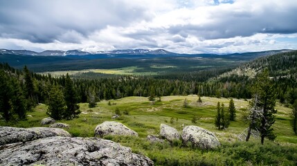Aufkleber - Expansive mountain valley with cloudy sky and diverse forest : Generative AI