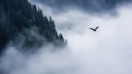 Poster - Solitary Bird Soaring Above Misty Pine Forest in Majestic Mountain Landscape : Generative AI