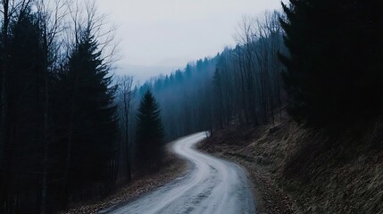 Poster - Lonely Forest Pathway in Misty Twilight with Trees and Overcast Sky : Generative AI
