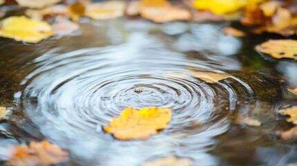 Poster - Serene Autumn Leaves Floating on Water Ripple Effect : Generative AI