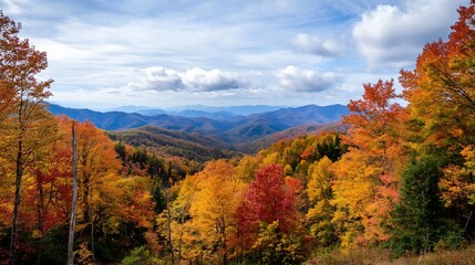 Poster - Autumn Landscape with Colorful Foliage in Mountainous Region During Daytime Scenic Beauty : Generative AI
