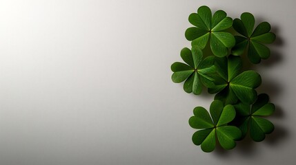 Wall Mural - Green Four Leaf Clovers on White Background