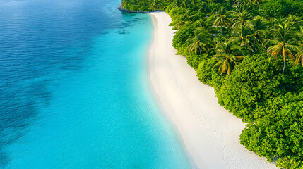 Poster - Tropical beach aerial view, turquoise water, palm trees