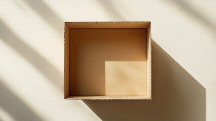 Canvas Print - Empty cardboard box in sunlight, minimalist background, packaging concept