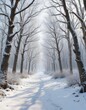 © chaiwat - Snow-covered forest with bare trees and icy branches, bare trees, serene