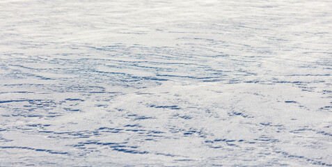 Wall Mural - The snow is white and the ground is covered in it