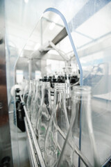 Poster - bottling process in a modern factory during daytime with clear glass bottles lined up for filling