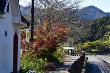 Wall Mural - 秋川沿いの風景