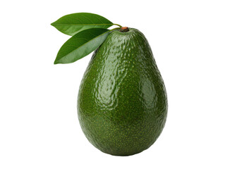 Poster - Fresh avocado with leaves isolated on white background, front angled view, no depth of field, sharp