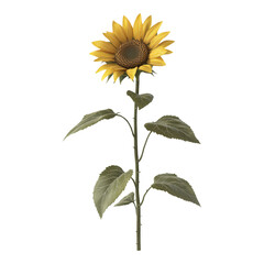 Wall Mural - Vibrant single sunflower, bright yellow petals, elegant design, transparent background, ideal for digital projects and graphic design applications