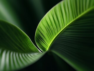 Aufkleber - Futuristic Botanical Design Leaf with Geometric Abstract Patterns and Faceted Textures - Innovative Eco-Architecture and Sustainable Branding Solutions