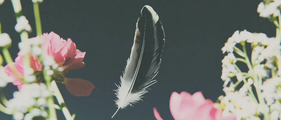 Poster - Minimalist collage featuring a levitating feather among floral geometric shapes on white background