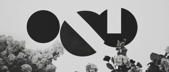 Poster - Minimalist collage blends geometric shapes with floral elements in dynamic transformation