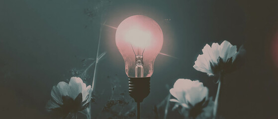 Poster - Minimalist collage showcasing a lightbulb illuminating dark space with floral background