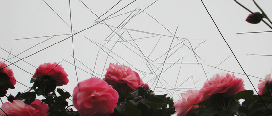 Aufkleber - This artwork presents a blend of geometric lines and vibrant flowers, creating an intricate design