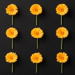 Aufkleber - Geometric Floral Art Vibrant Yellow Daisies on Matte Black Backdrop - Modern Botanical Decor and Design Inspiration for Contemporary Commercial Spaces