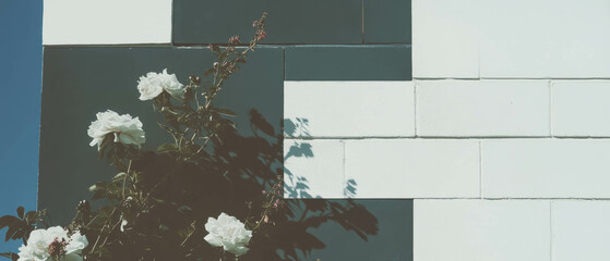 Aufkleber - Minimalist collage of geometric shapes and flowers against a detailed brick wall backdrop