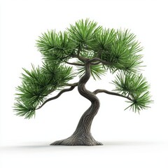 Wall Mural - small pine tree with sharp green needles and a smooth brown trunk, placed on a clean white background