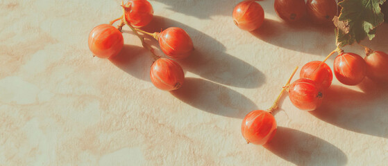 Poster - Minimalistic scrapbook-style composition featuring gooseberries on textured background