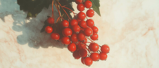Poster - Scrapbook-inspired composition featuring a cluster of elderberries on a light background