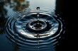 © Vadym - Close-up view of water droplet impact creating concentric ripples on dark reflective surface. Fluid motion, symmetry prominent features. Dark surface reflects light creating beautiful pattern.