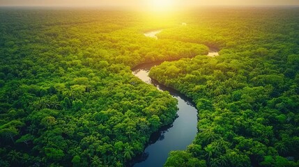 Poster - Aerial landscapes nature concept. Aerial view of a lush green forest with a winding river at sunrise.