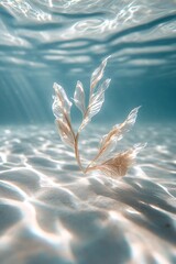 Wall Mural - Beneath the water, delicate seaweed sways softly with the gentle currents. Faint reflections dance across the surface, creating a calm and serene atmosphere