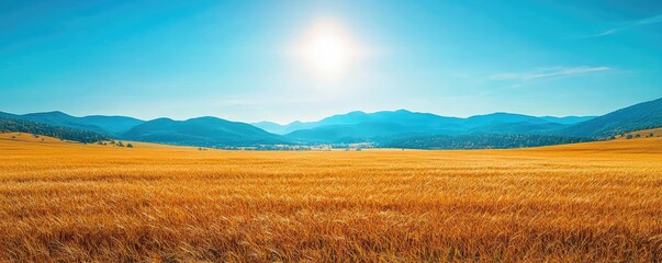 Wall Mural - Savannah grassland nature idea. A stunning panoramic view of a golden wheat field under a bright sun.