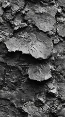 Poster - Textured Dark Cracked Surface with Layers and Natural Patterns