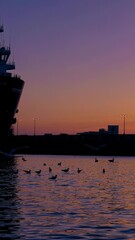Poster - A serene composition where gulls fly across the ship’s silhouette, the harbor’s shifting sunset palette creating an aura of calm amidst the vessel’s imposing presence.