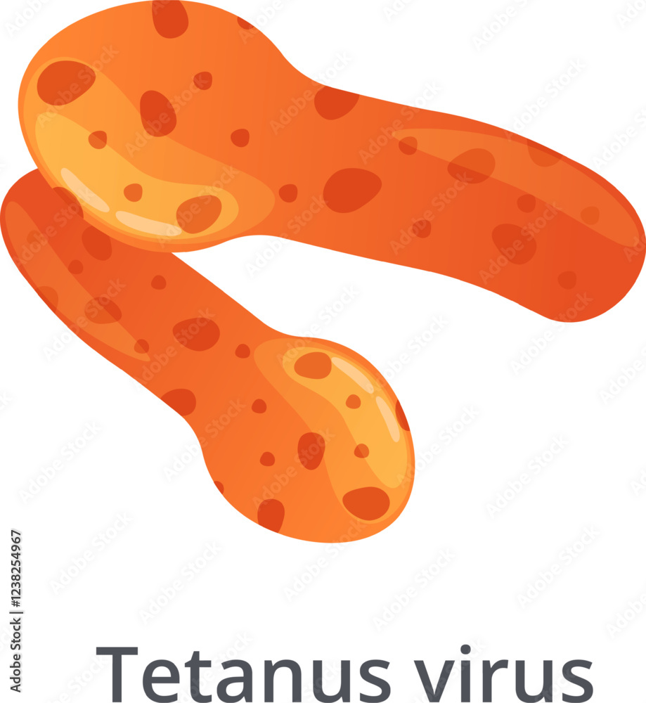 Tetanus Vector Clostridium tetani bacteria, commonly found in soil, dust, and animal ...