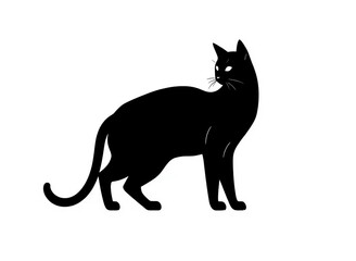 Wall Mural - an image of a black cat standing on a white surface, black cat standing on a white background with a shadow