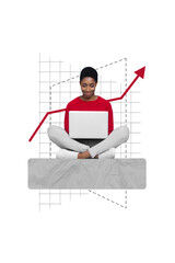 Poster - Poster image pinup pop 3d collage of smart clever smiling lady sitting using netbook analyzing bitcoin rate isolated on drawing background