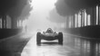© musa - Classic race car driving on a foggy road.