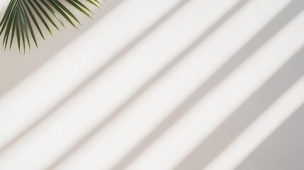 Poster - A minimalist black-and-white composition of geometric shadows cast across a smooth white wall modern abstract art aesthetic.