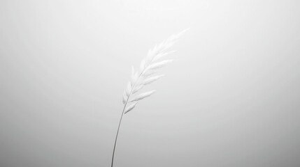 Poster - Hushed Light, a serene minimalist grayscale artwork featuring soft illumination in a clean, simple setting, emphasizing tranquility and open space.