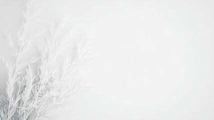 Poster - Monochrome Whispers, a delicate grayscale composition featuring soft edges, a minimalist background, and a clean, simple setting that evokes tranquility and elegance.