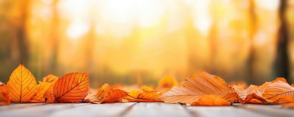 Wall Mural - Golden hour forest nature concept. Scattered autumn leaves on a wooden surface with a warm, golden background.