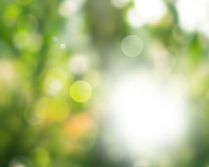 Wall Mural - blur background green images