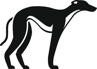 Poster - elegant greyhound standing in profile, showcasing its slender physique in a minimalist black and whi