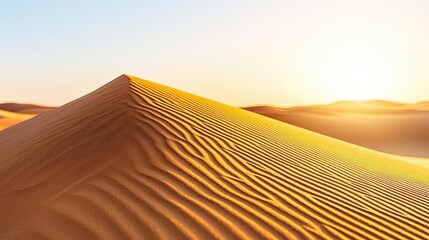 Poster - Desert landscapes nature idea. Golden sand dunes illuminated by the warm sunlight at sunset in a serene desert.