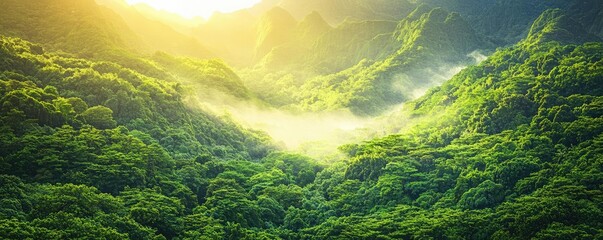 Poster - Misty forest nature idea. Breathtaking view of lush green mountains under a golden sunrise with misty atmosphere.