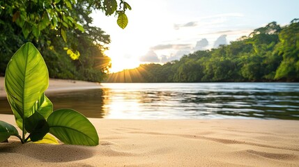 Aufkleber - Riverside scenes nature concept. Tranquil river environment with lush greenery and vibrant sunset reflections.