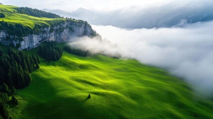 Aufkleber - Mountains landscape nature idea. Breathtaking view of green hills enveloped in soft mist under a cloudy sky.