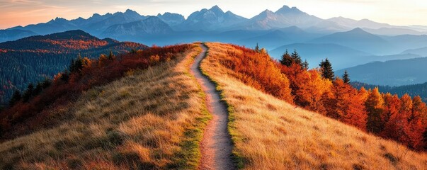 Poster - Amidst mountains nature idea. A tranquil mountain path winding through vibrant autumn scenery at sunset.